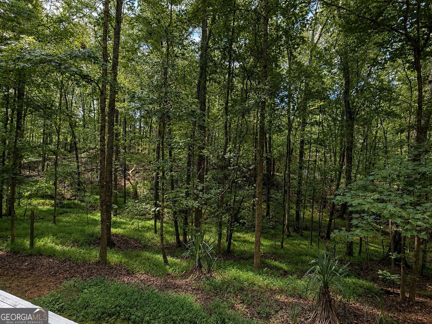 19 Rocky Shoals Road Palmetto - Photo 38