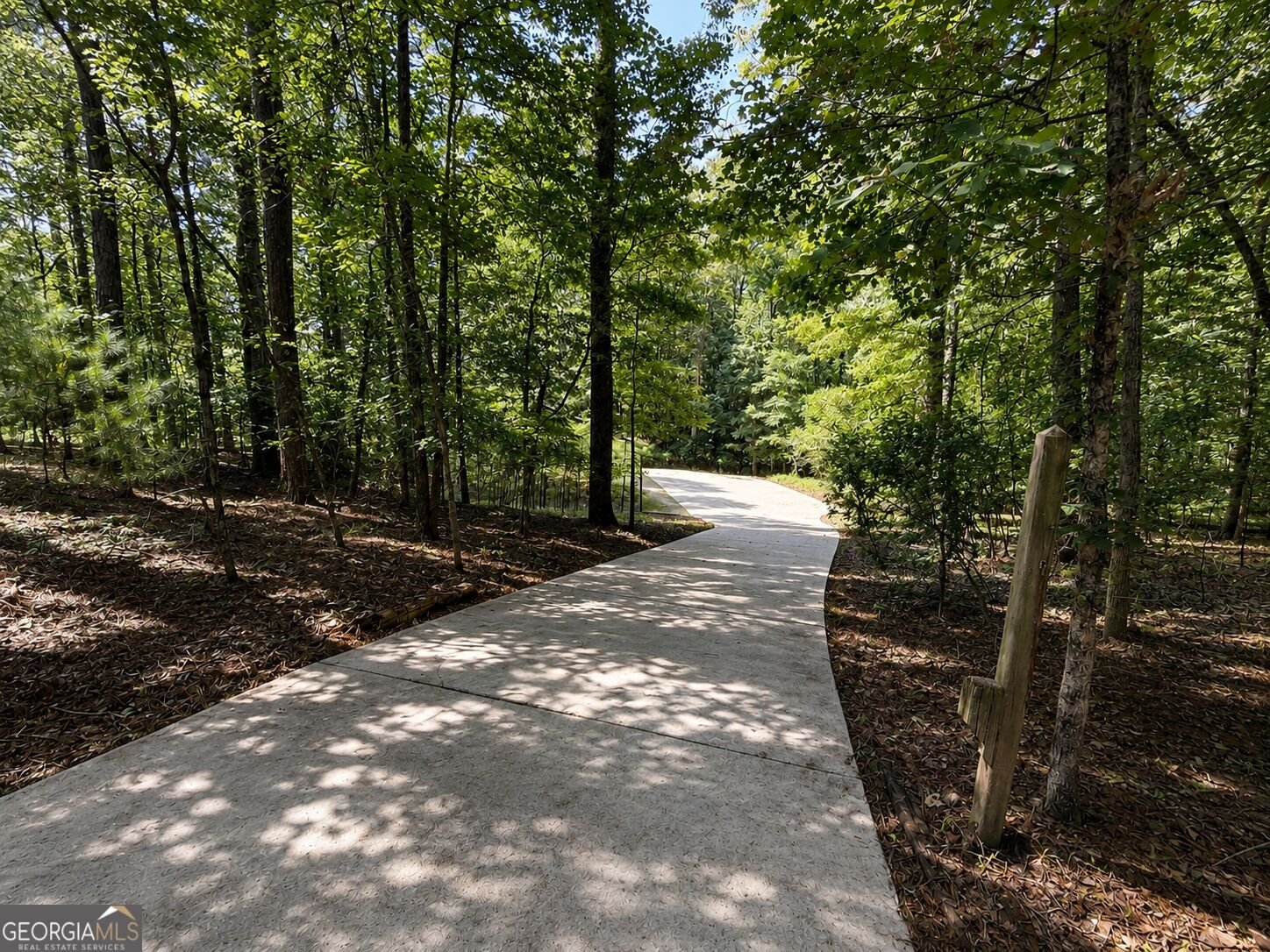 19 Rocky Shoals Road Palmetto - Photo 39