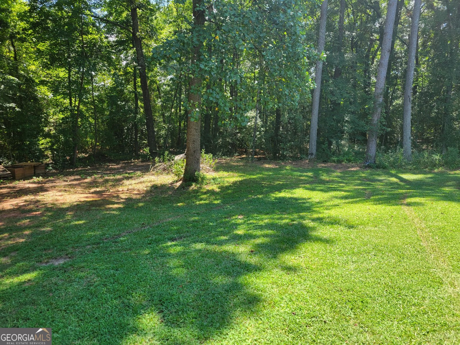 1131 Main Street Hogansville - Photo 10