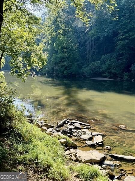 22 Noel Lane Ellijay - Photo 55