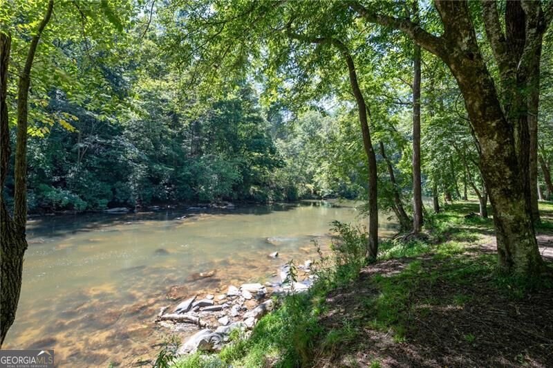 22 Noel Lane Ellijay - Photo 56