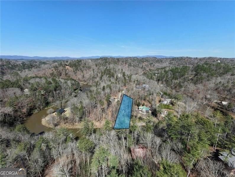 22 Noel Lane Ellijay - Photo 62