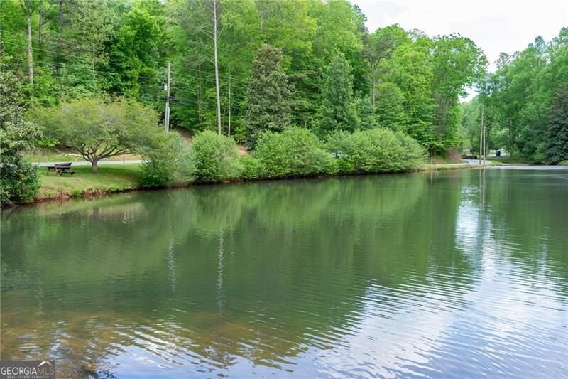 22 Noel Lane Ellijay - Photo 73