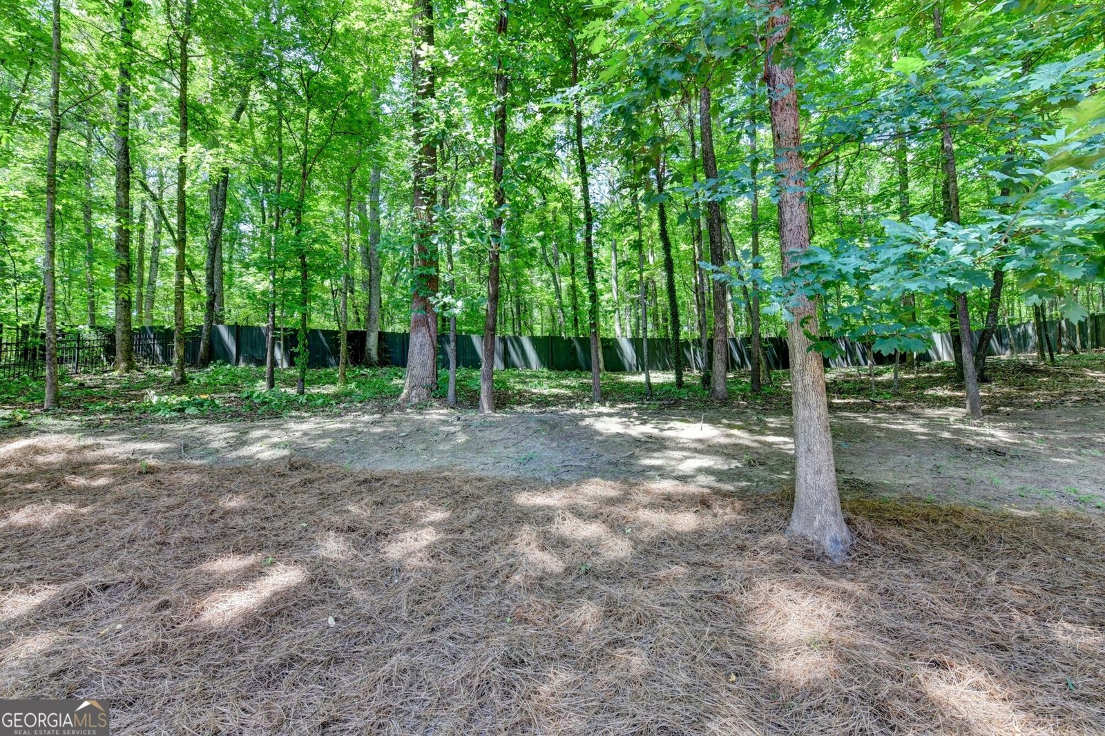 7040 Laurel Oak Drive Suwanee - Photo 49
