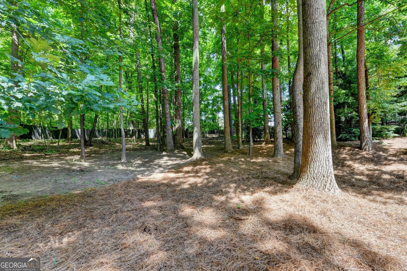 7040 Laurel Oak Drive Suwanee - Photo 50