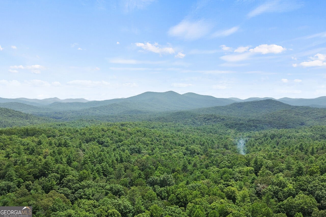322 Honeysuckle Way Blue Ridge - Photo 43