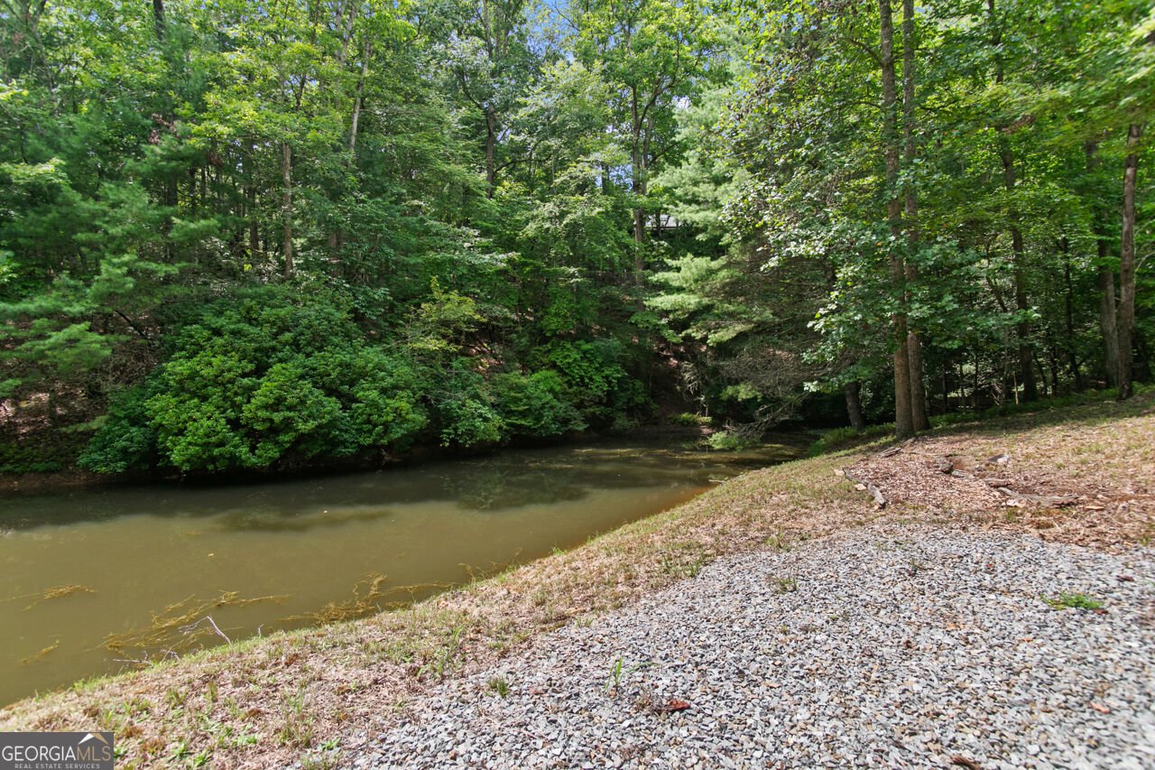 322 Honeysuckle Way Blue Ridge - Photo 45