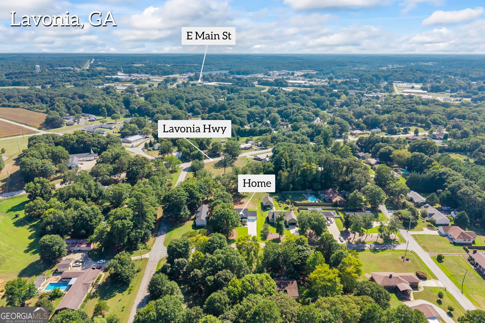 39 Virginia Street Lavonia - Photo 40