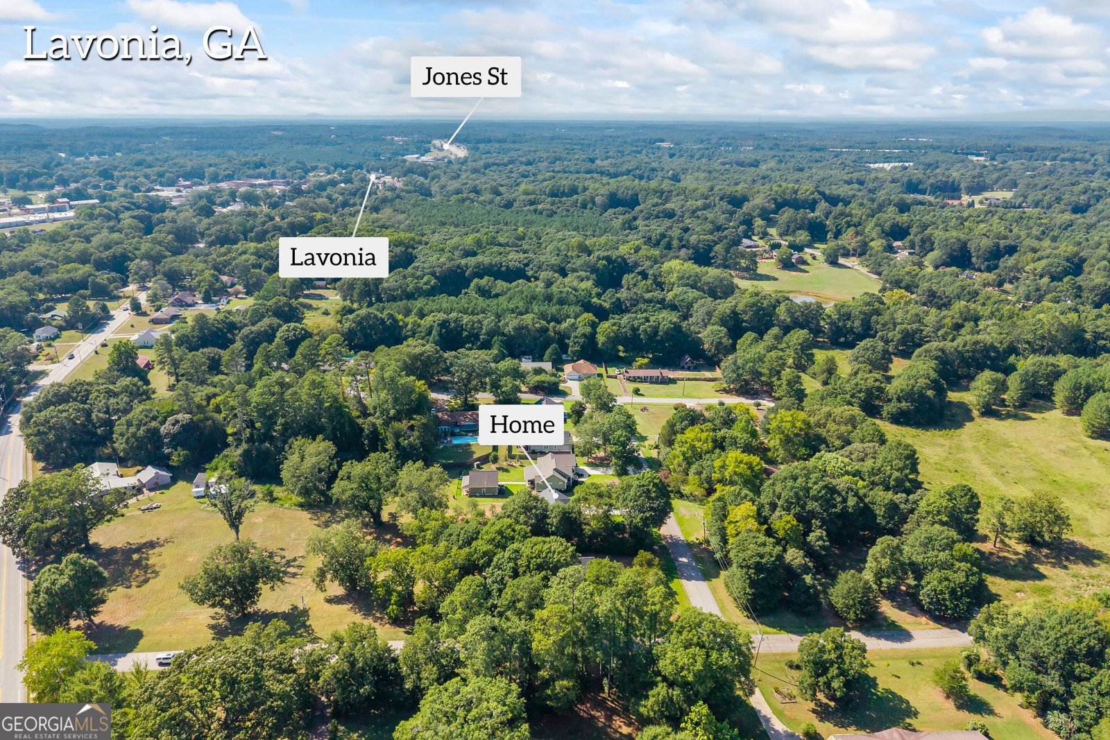 39 Virginia Street Lavonia - Photo 45