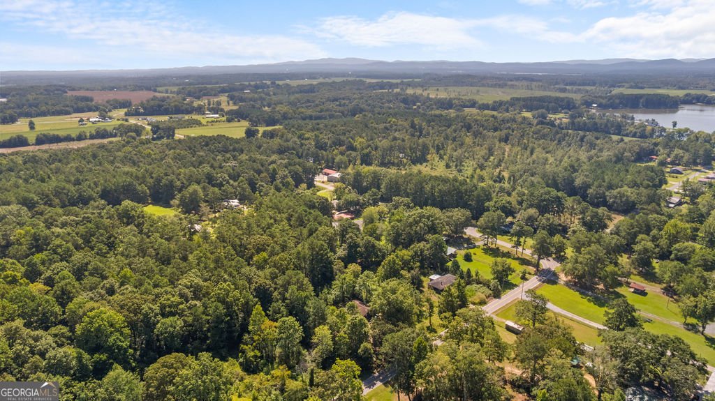 1035 County Road 40 Centre - Photo 33