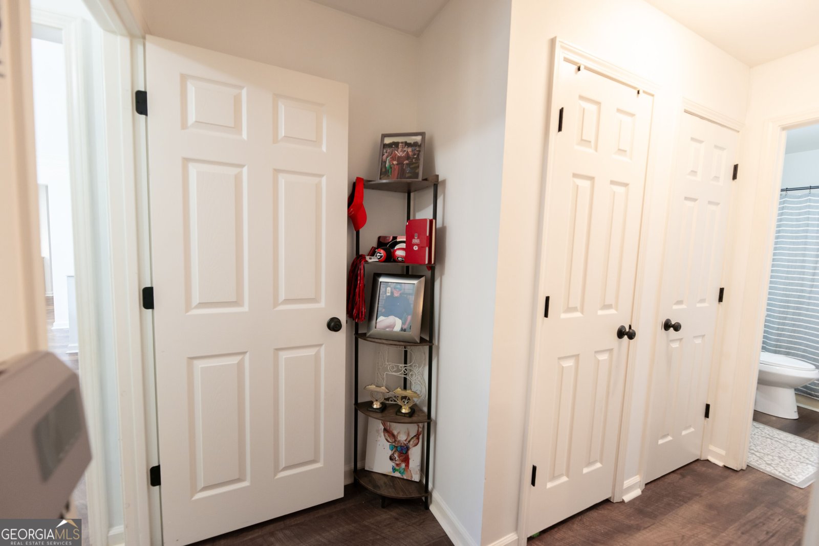 60 Carriage Gate Drive Sharpsburg - Photo 10