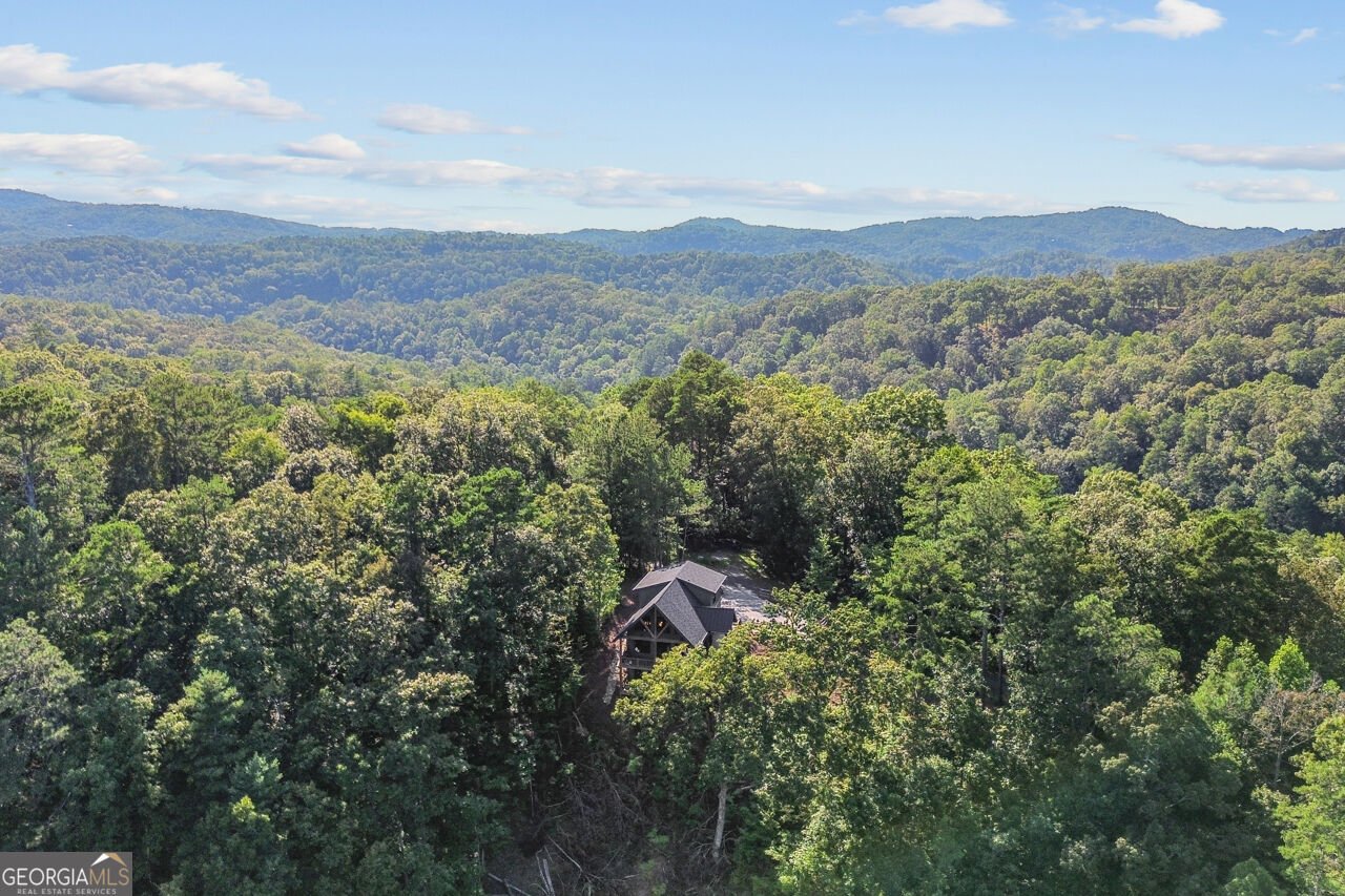 1510 Marie Drive Talking Rock - Photo 56