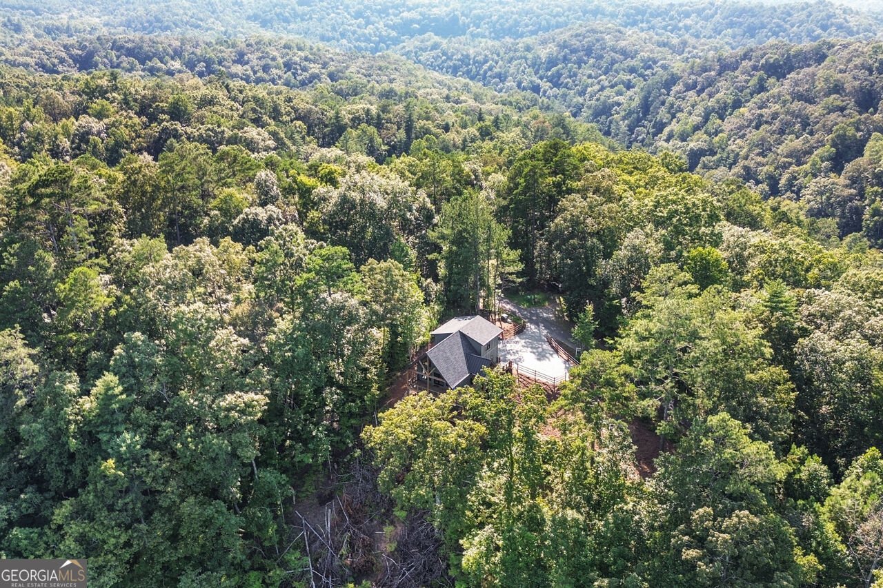 1510 Marie Drive Talking Rock - Photo 57