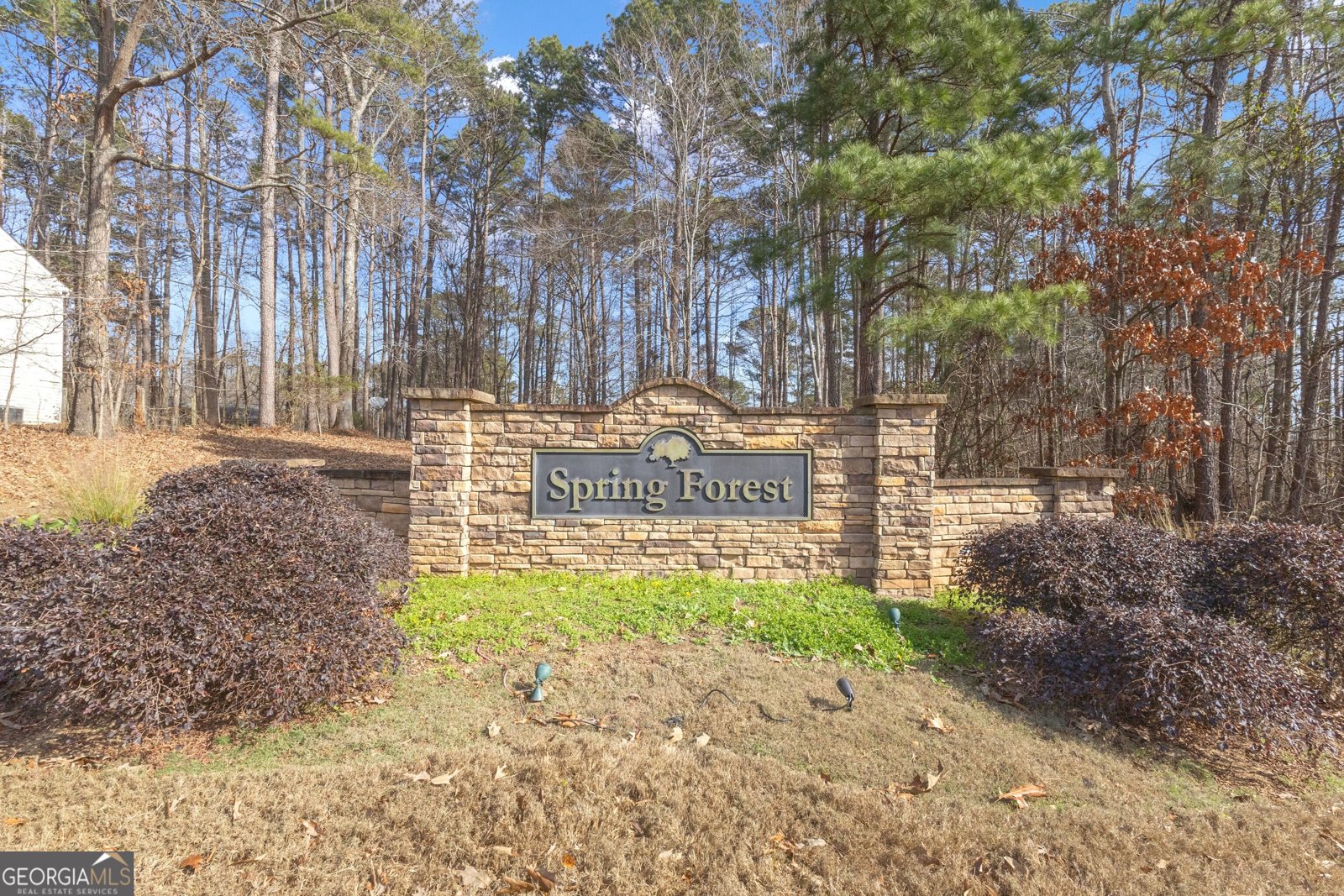 95 Spring Forest Trail Sharpsburg - Photo 57