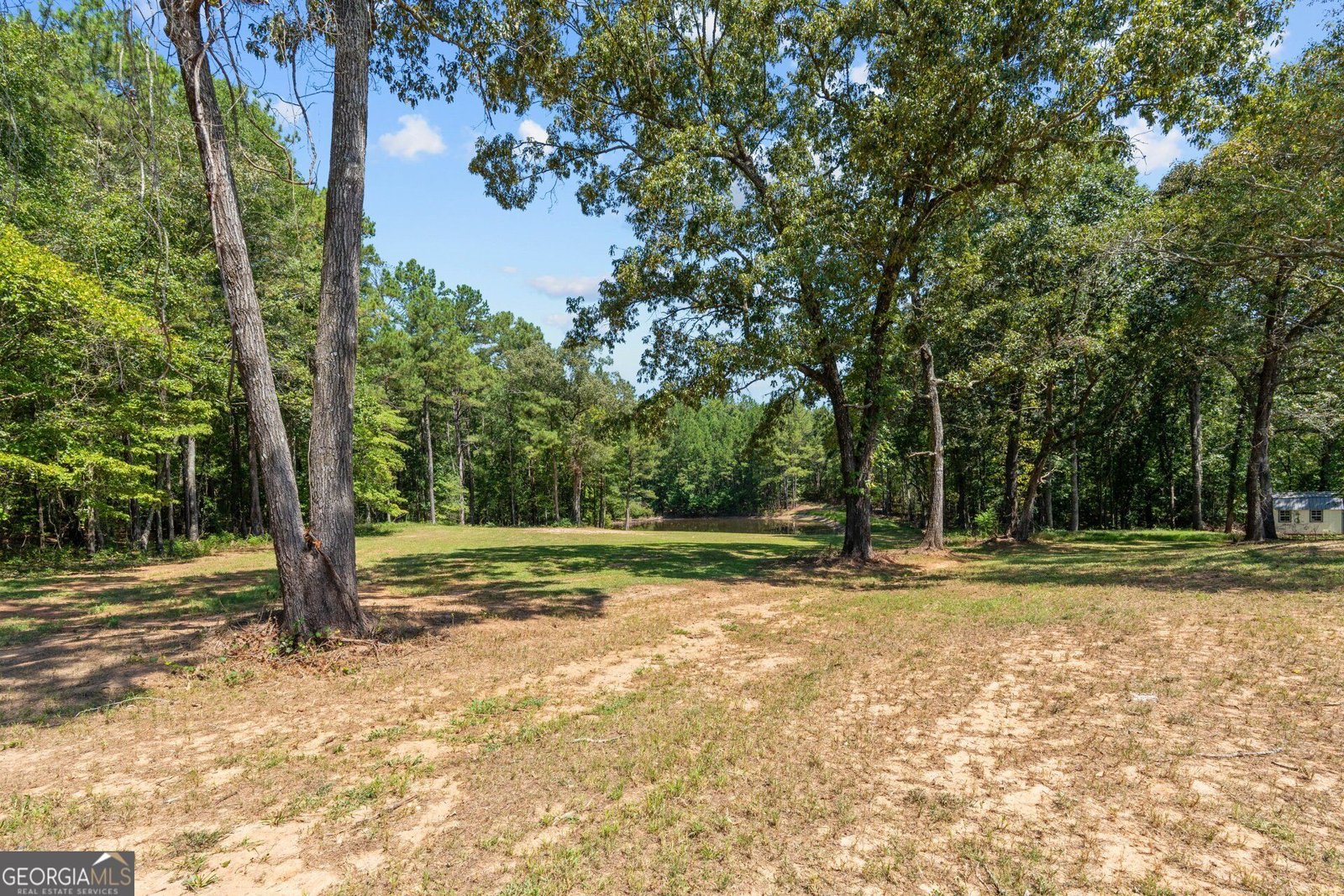 17187 Ga Highway 34 Franklin - Photo 29