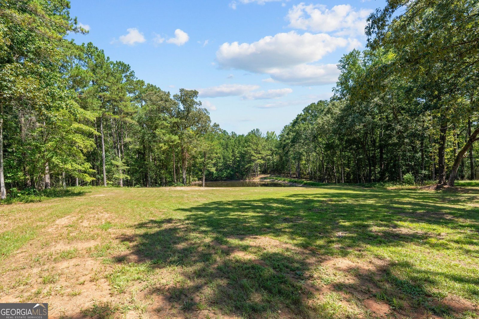 17187 Ga Highway 34 Franklin - Photo 30