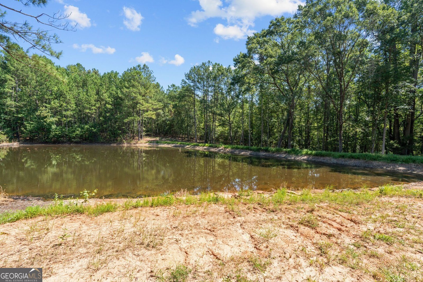 17187 Ga Highway 34 Franklin - Photo 31