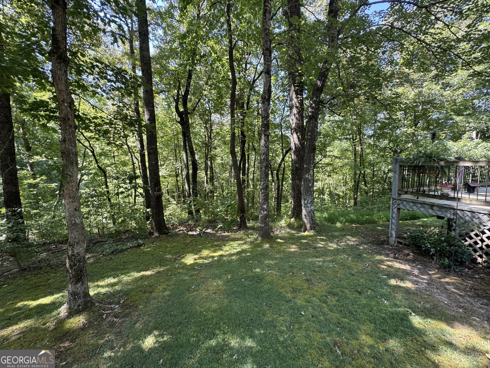 206 Grandview Lane Clayton - Photo 46