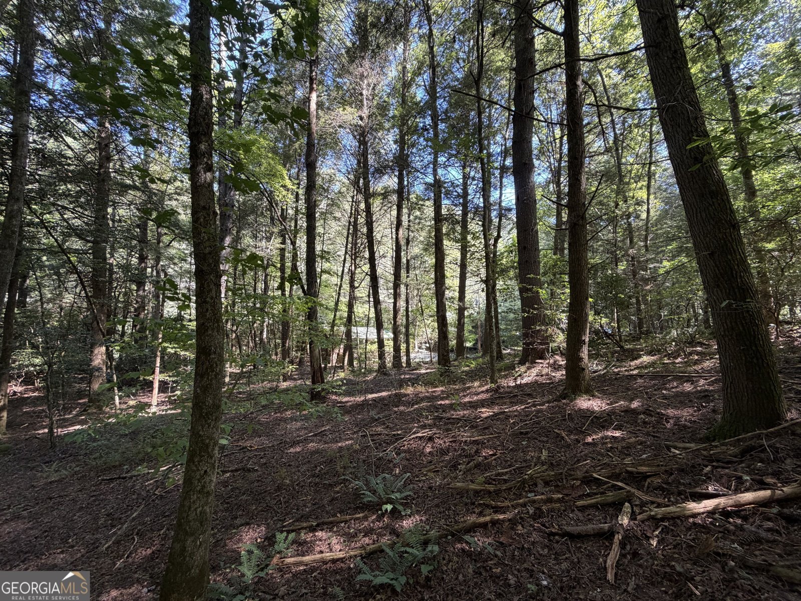 10 Fightingtown Drive Blue Ridge - Photo 52