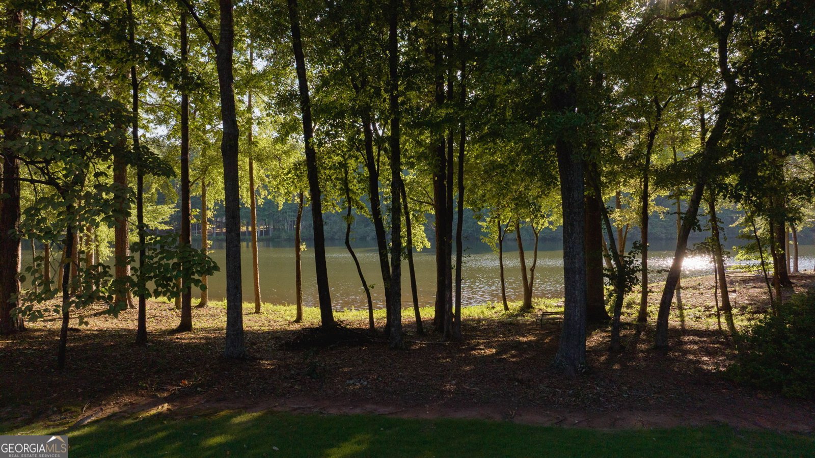 202 Cromwell Drive Peachtree City - Photo 54