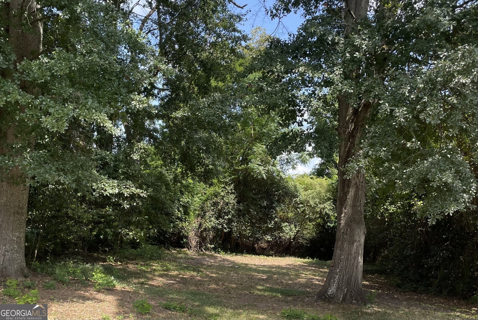 148 Holmes Street Barnesville - Photo 50
