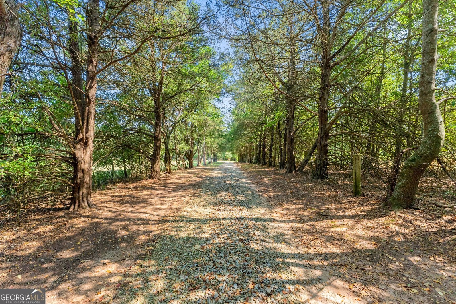 1556 Fred Goss Road Danielsville - Photo 68