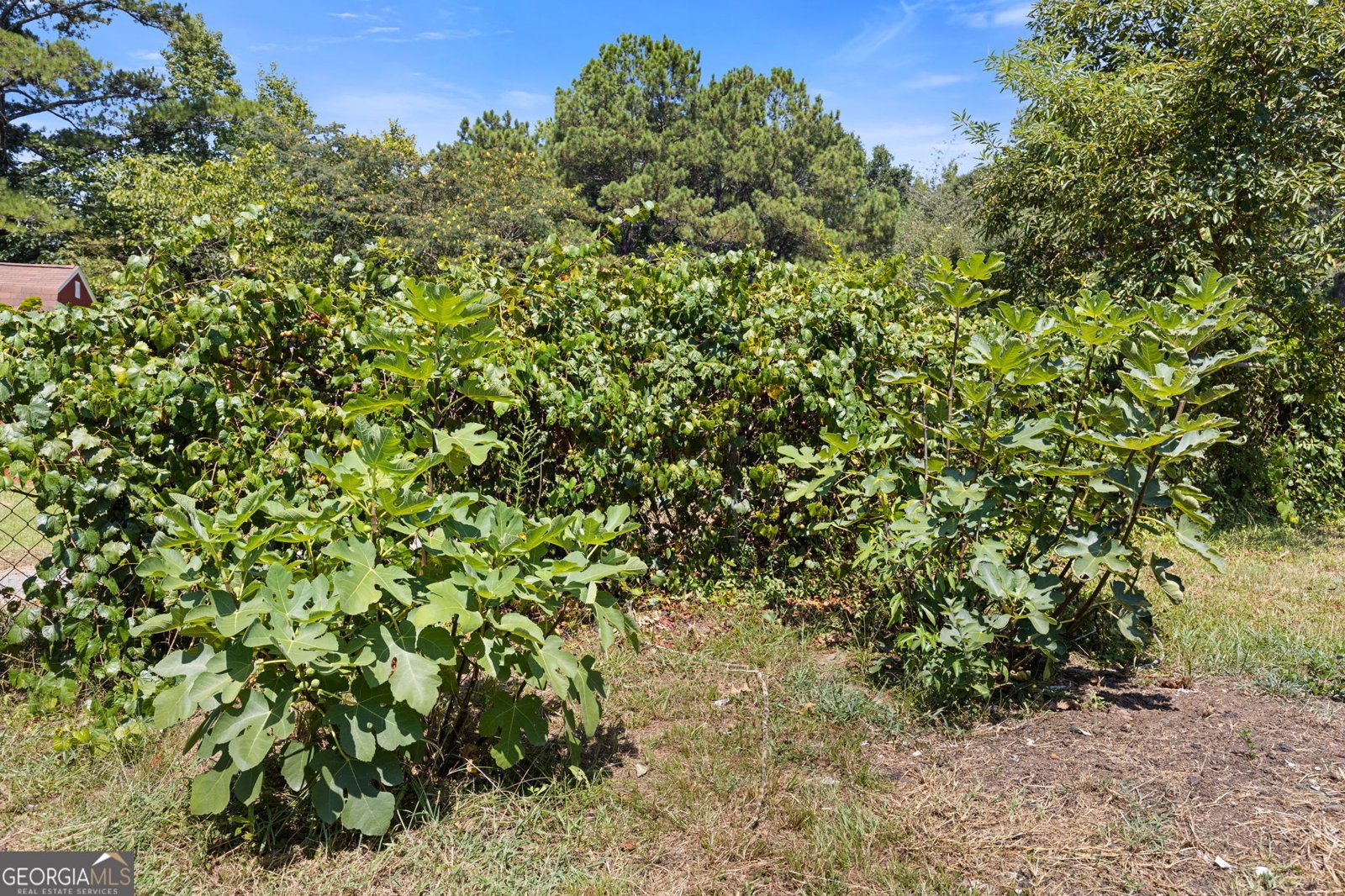 8274 Highway 166 Douglasville - Photo 28