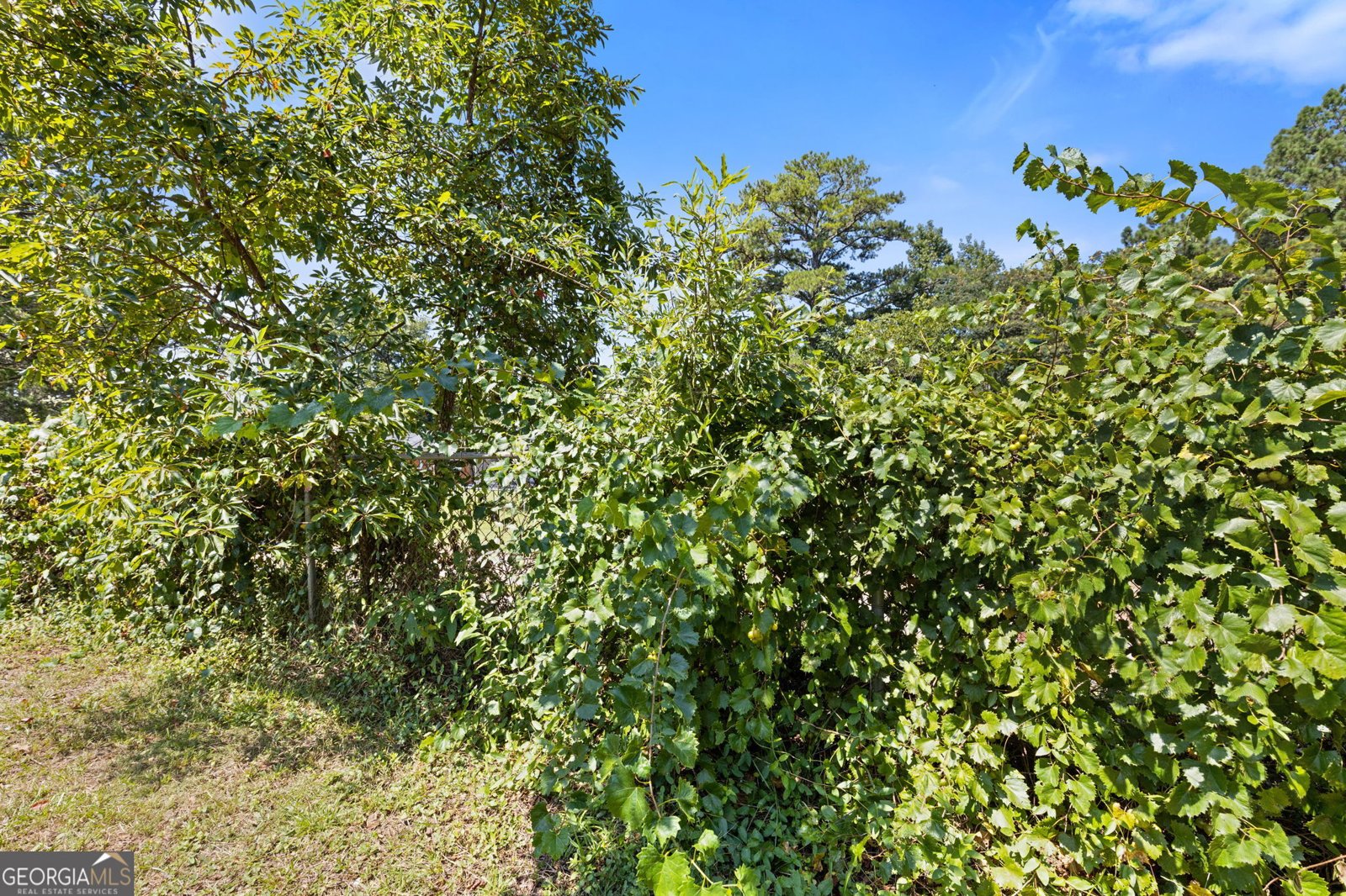 8274 Highway 166 Douglasville - Photo 30