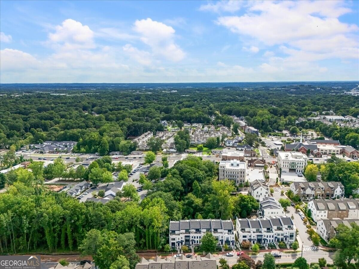 147 Canton Street Alpharetta - Photo 80