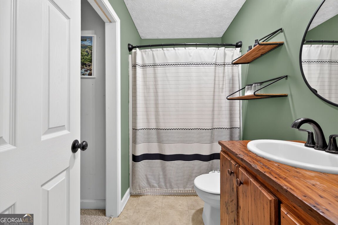 171 Dawson Drive Dawsonville - Photo 24