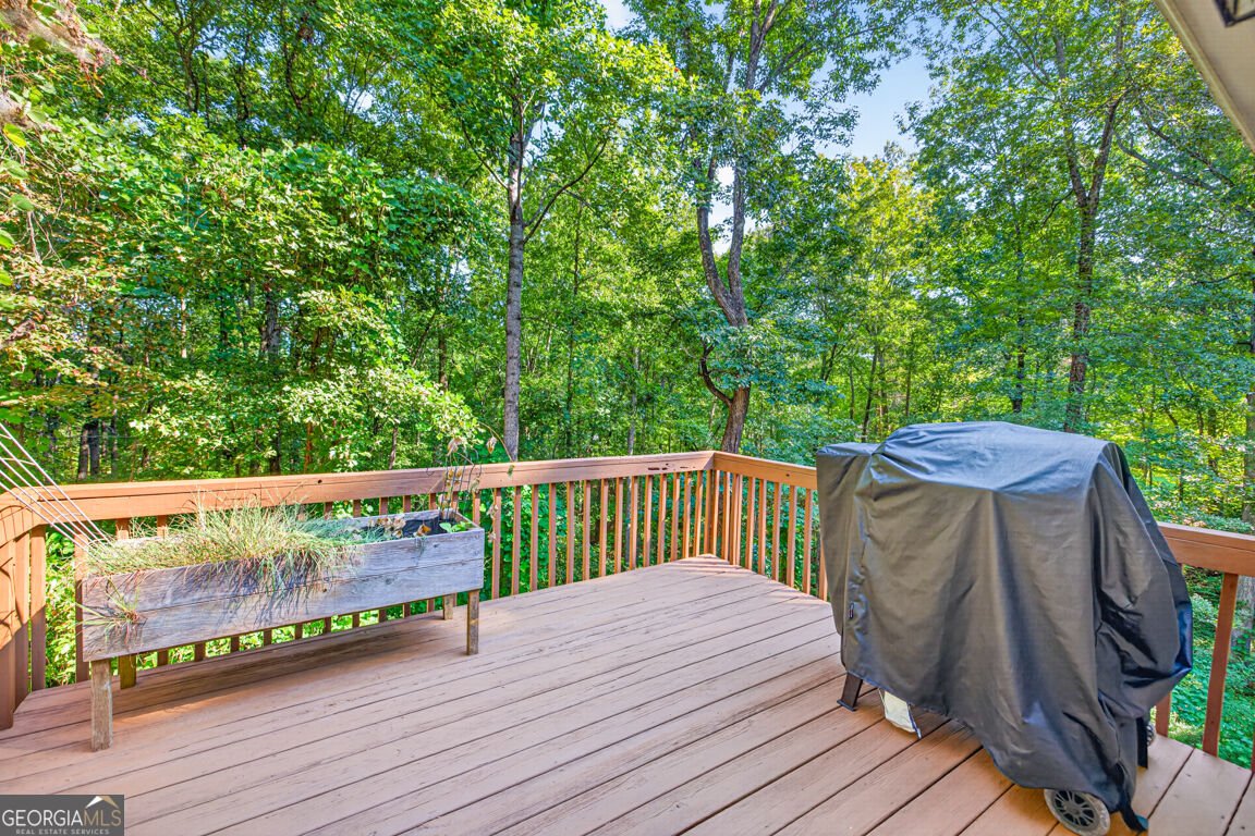 171 Dawson Drive Dawsonville - Photo 35