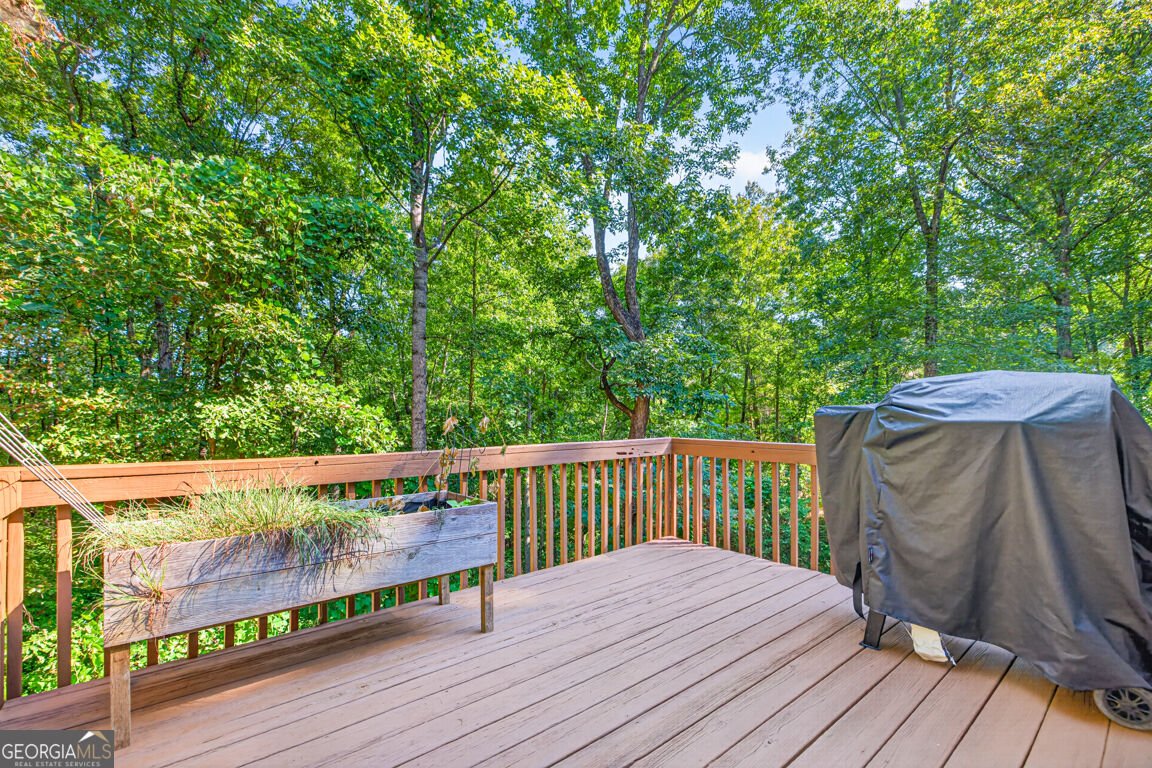 171 Dawson Drive Dawsonville - Photo 37