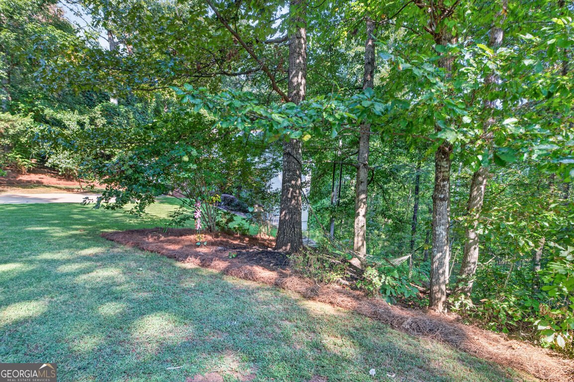 171 Dawson Drive Dawsonville - Photo 38
