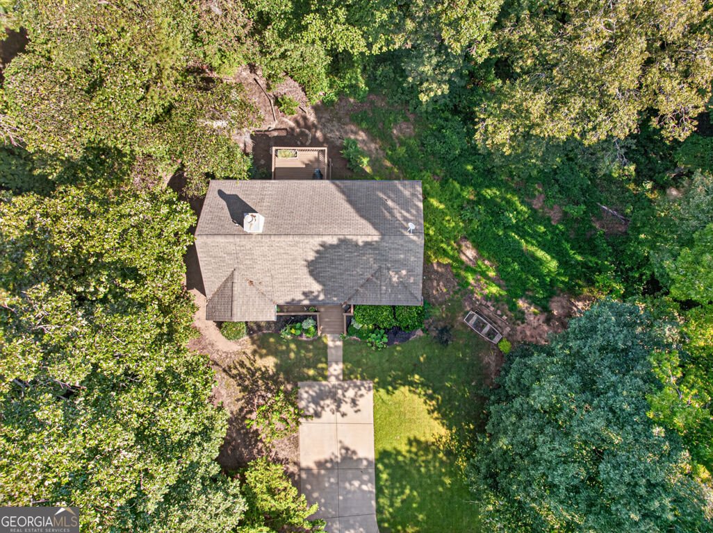 171 Dawson Drive Dawsonville - Photo 39