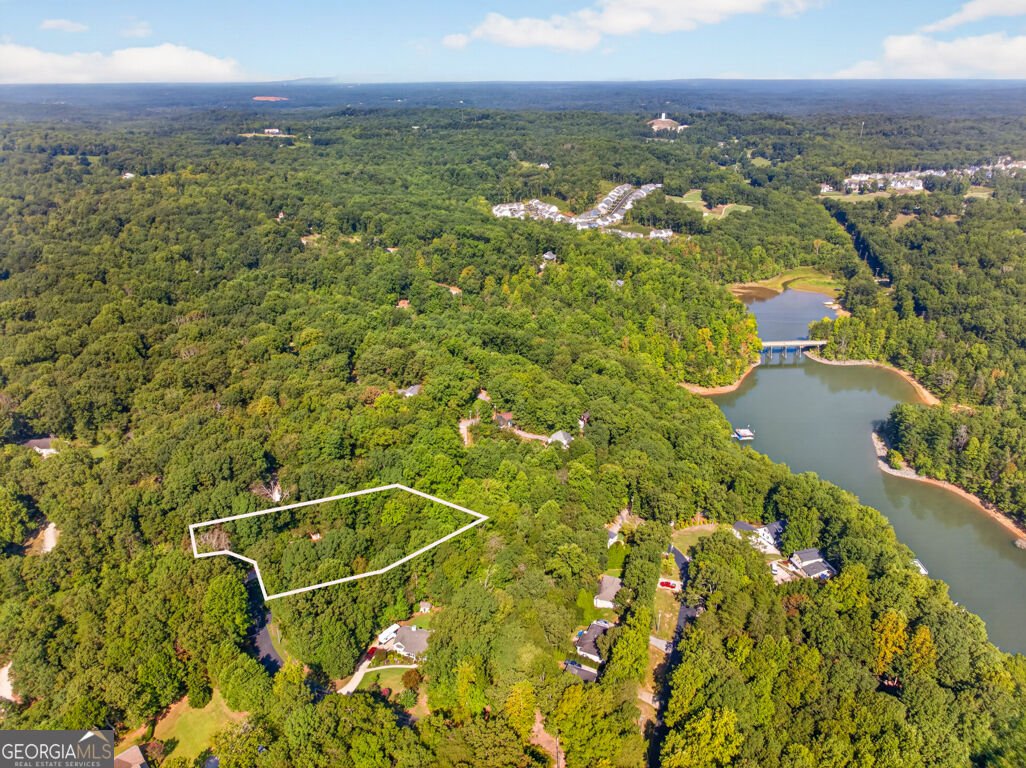 171 Dawson Drive Dawsonville - Photo 41
