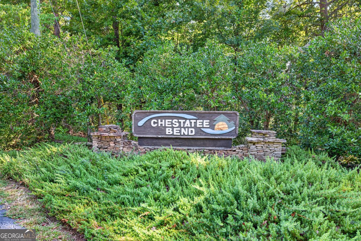 171 Dawson Drive Dawsonville - Photo 43