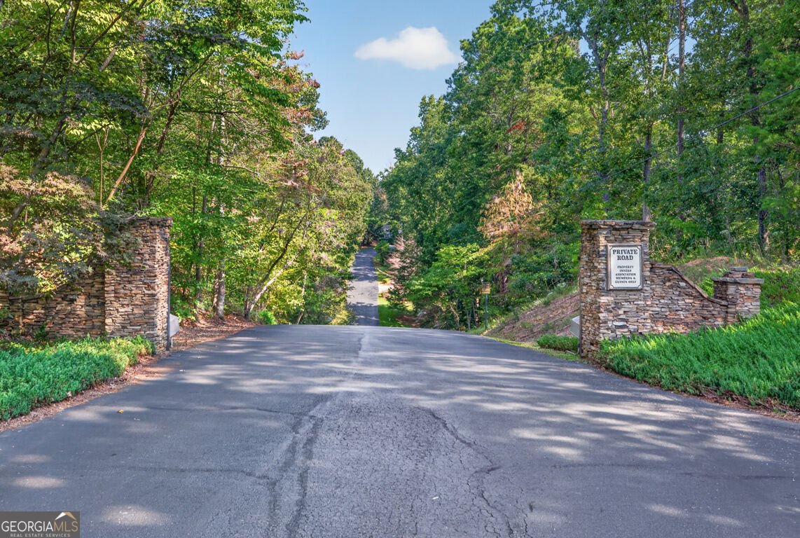 171 Dawson Drive Dawsonville - Photo 44