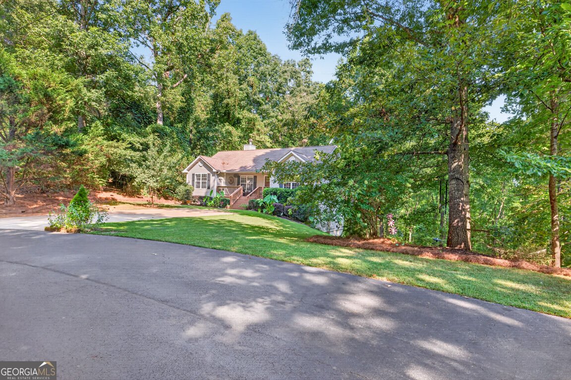 171 Dawson Drive Dawsonville - Photo 45