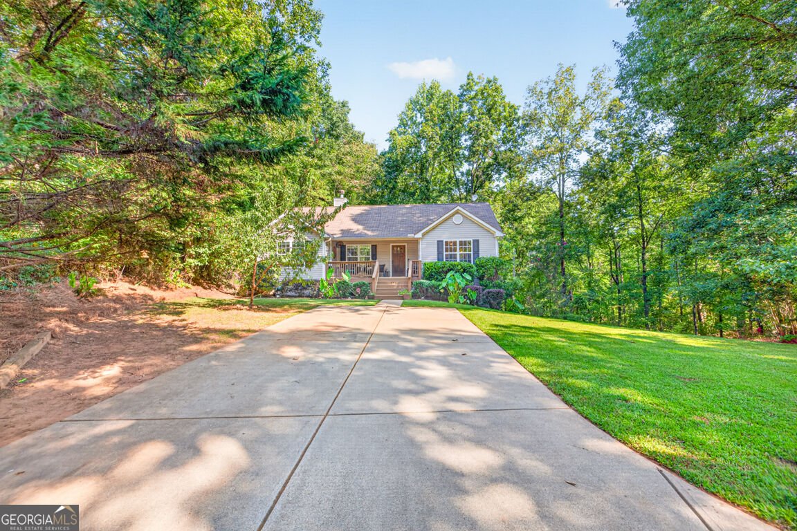 171 Dawson Drive Dawsonville - Photo 46