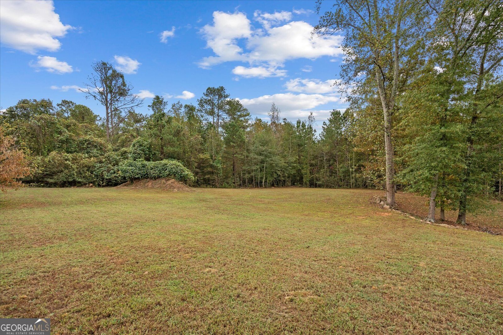 1003 Milligan Creek Road Roopville - Photo 28