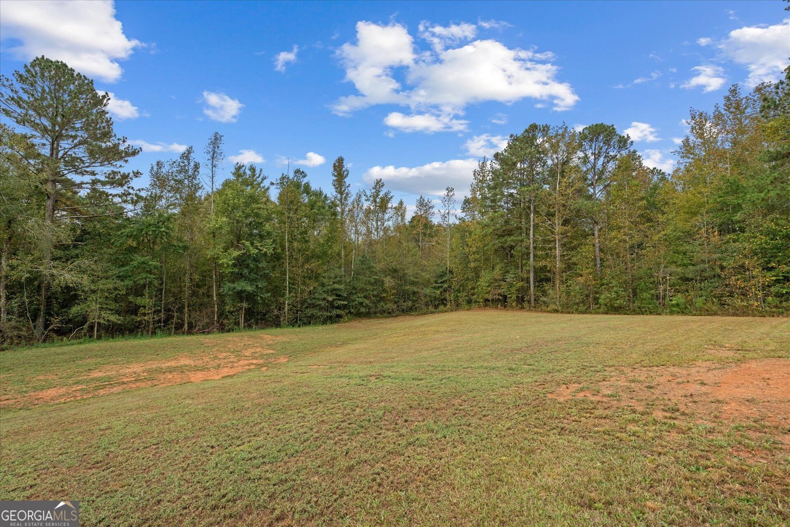 1003 Milligan Creek Road Roopville - Photo 29