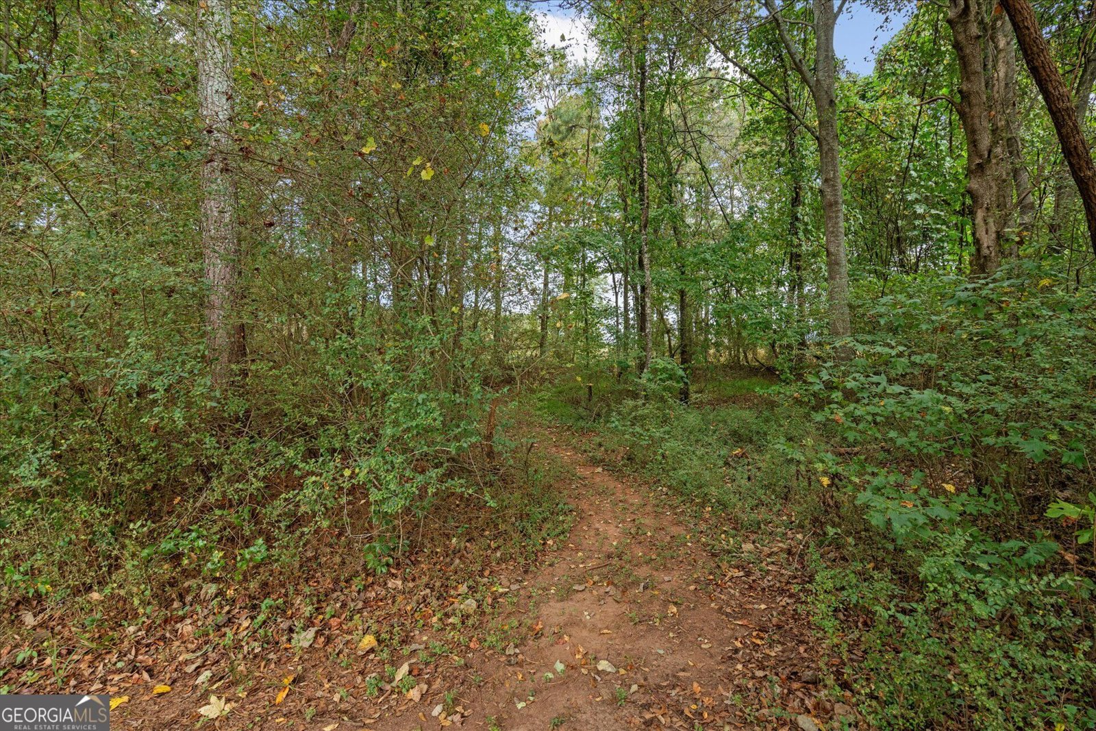 1003 Milligan Creek Road Roopville - Photo 33