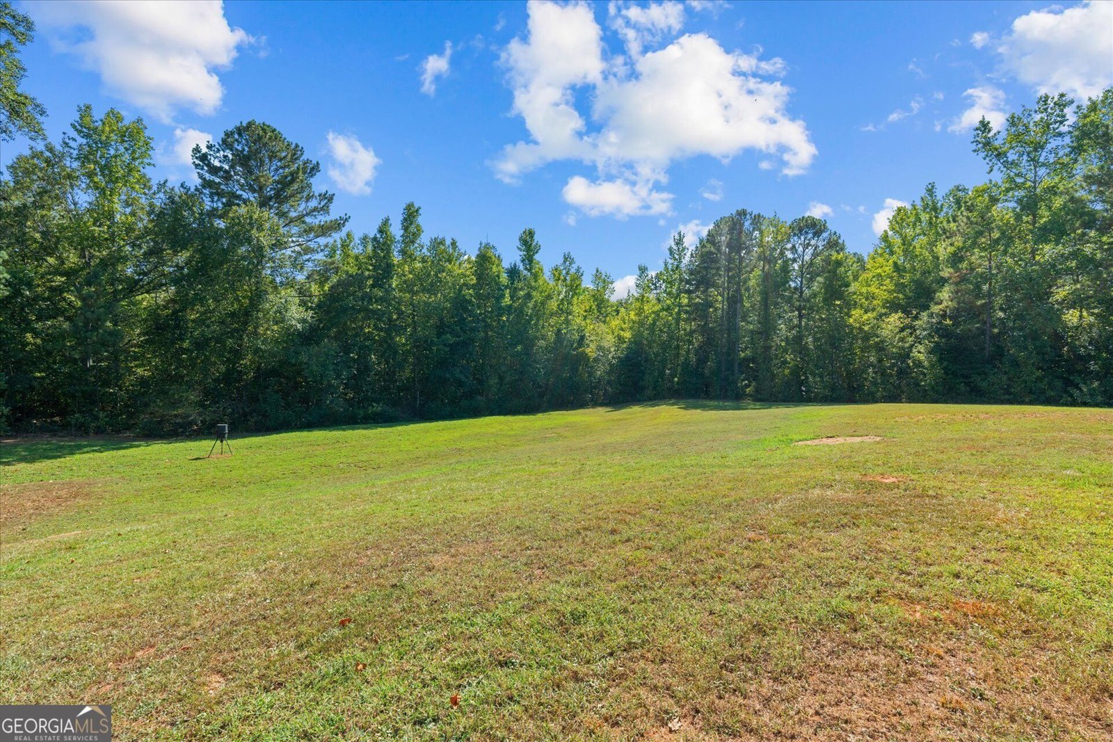 1003 Milligan Creek Road Roopville - Photo 42
