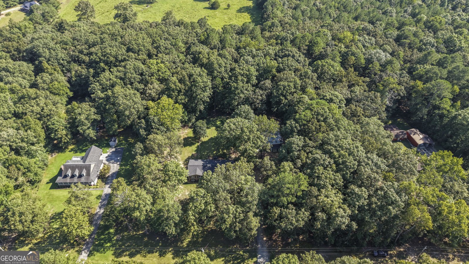 211 Race Horse Drive Summerville - Photo 54