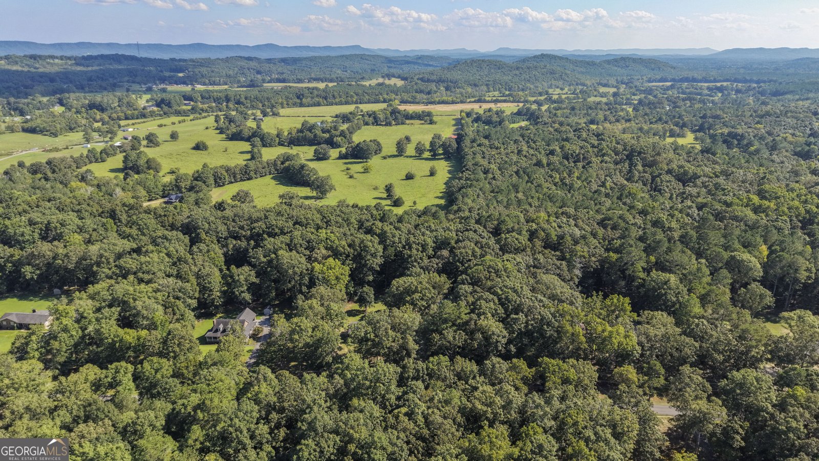 211 Race Horse Drive Summerville - Photo 55