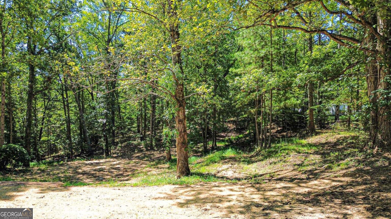 9640 Cedar Grove Road Chattahoochee Hills - Photo 13