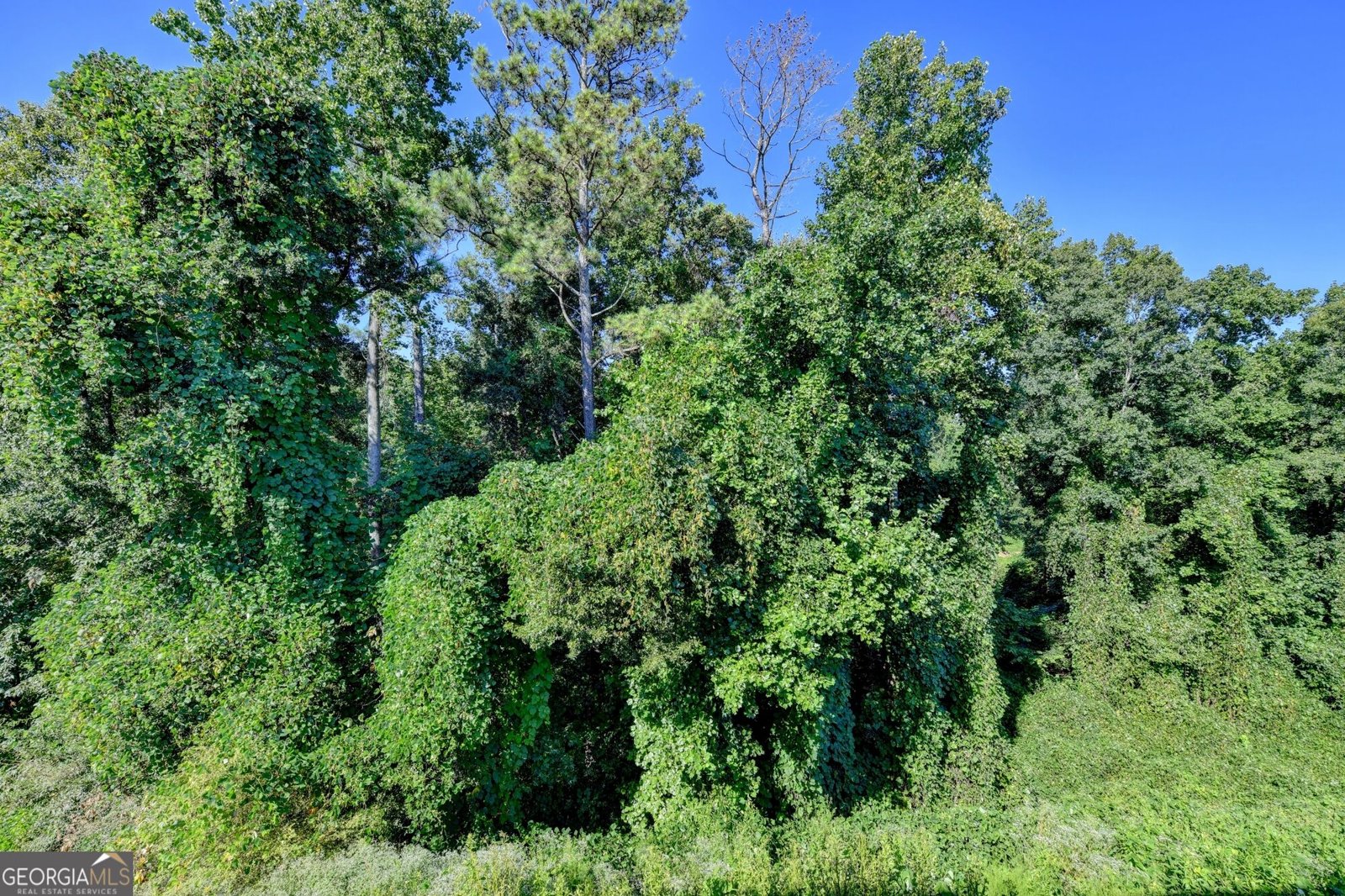 3860 Grandview Manor Drive Cumming - Photo 44