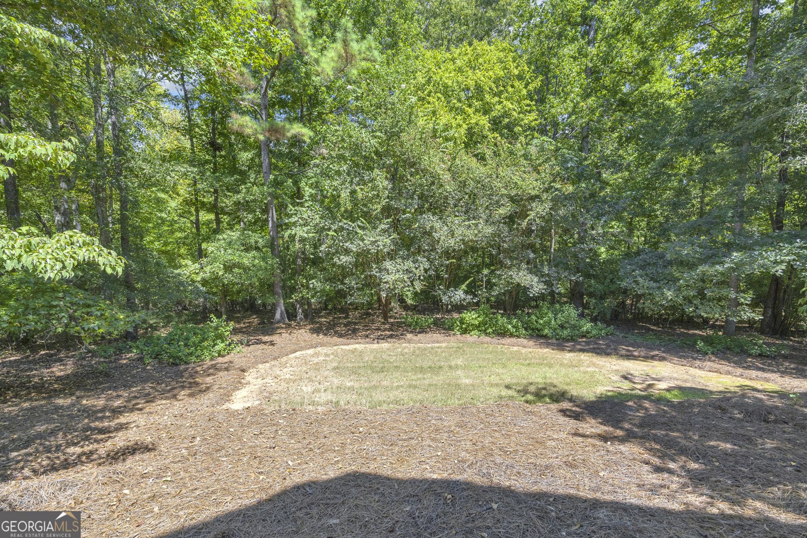 269 Falling Shoals Drive Athens - Photo 10