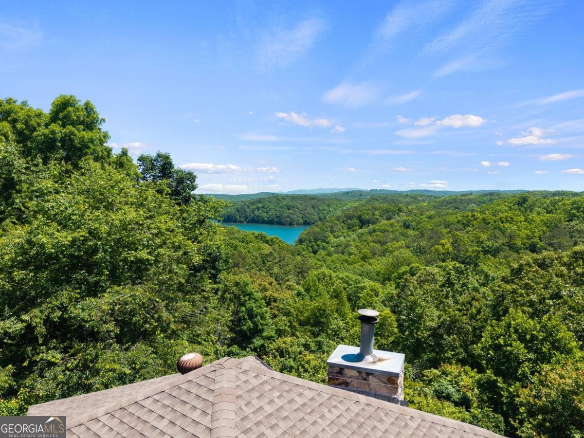 122 Zane Drive Ellijay - Photo 51