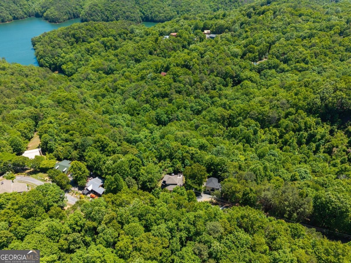 122 Zane Drive Ellijay - Photo 53